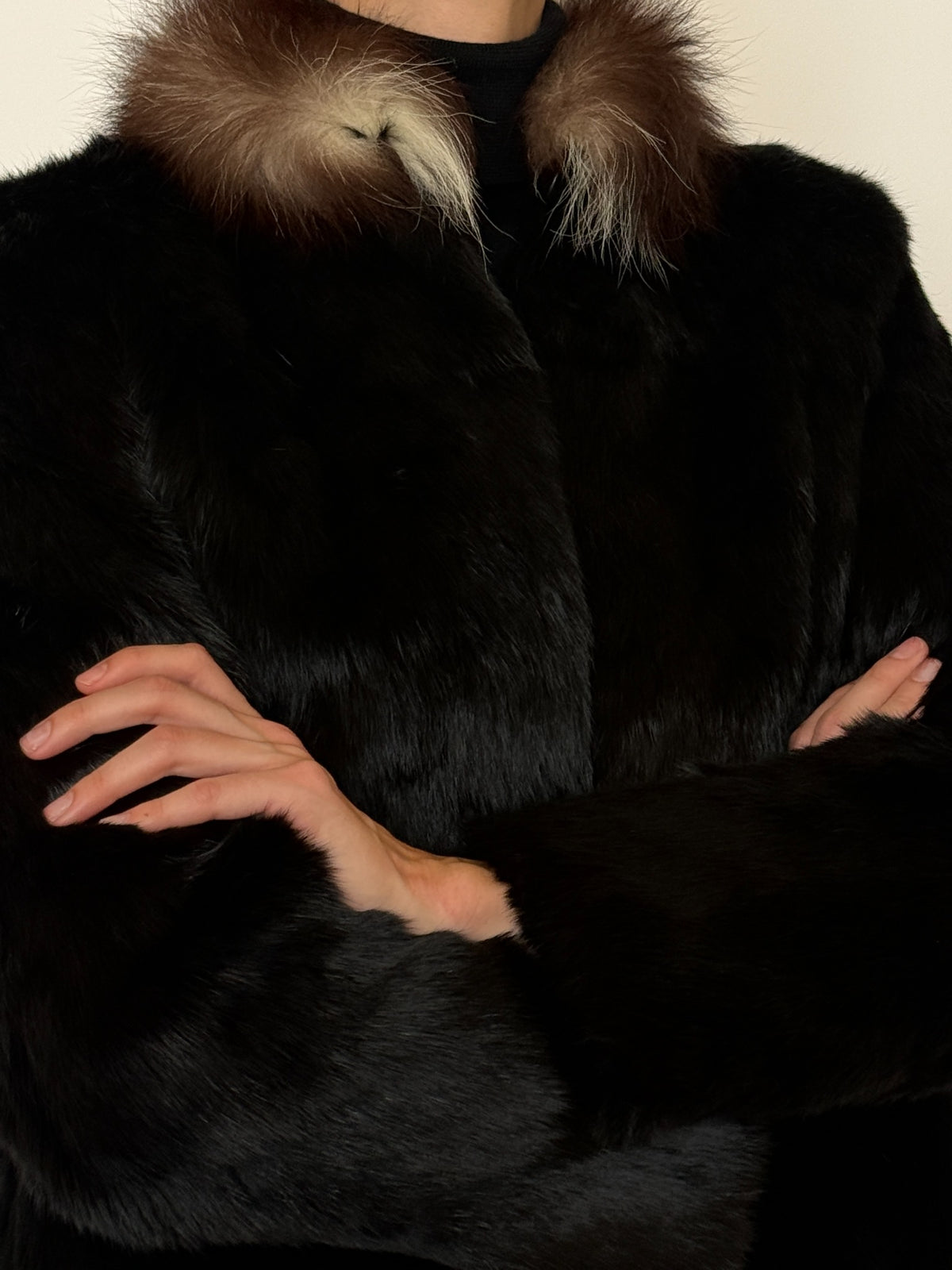 Detailed black fur and collar texture