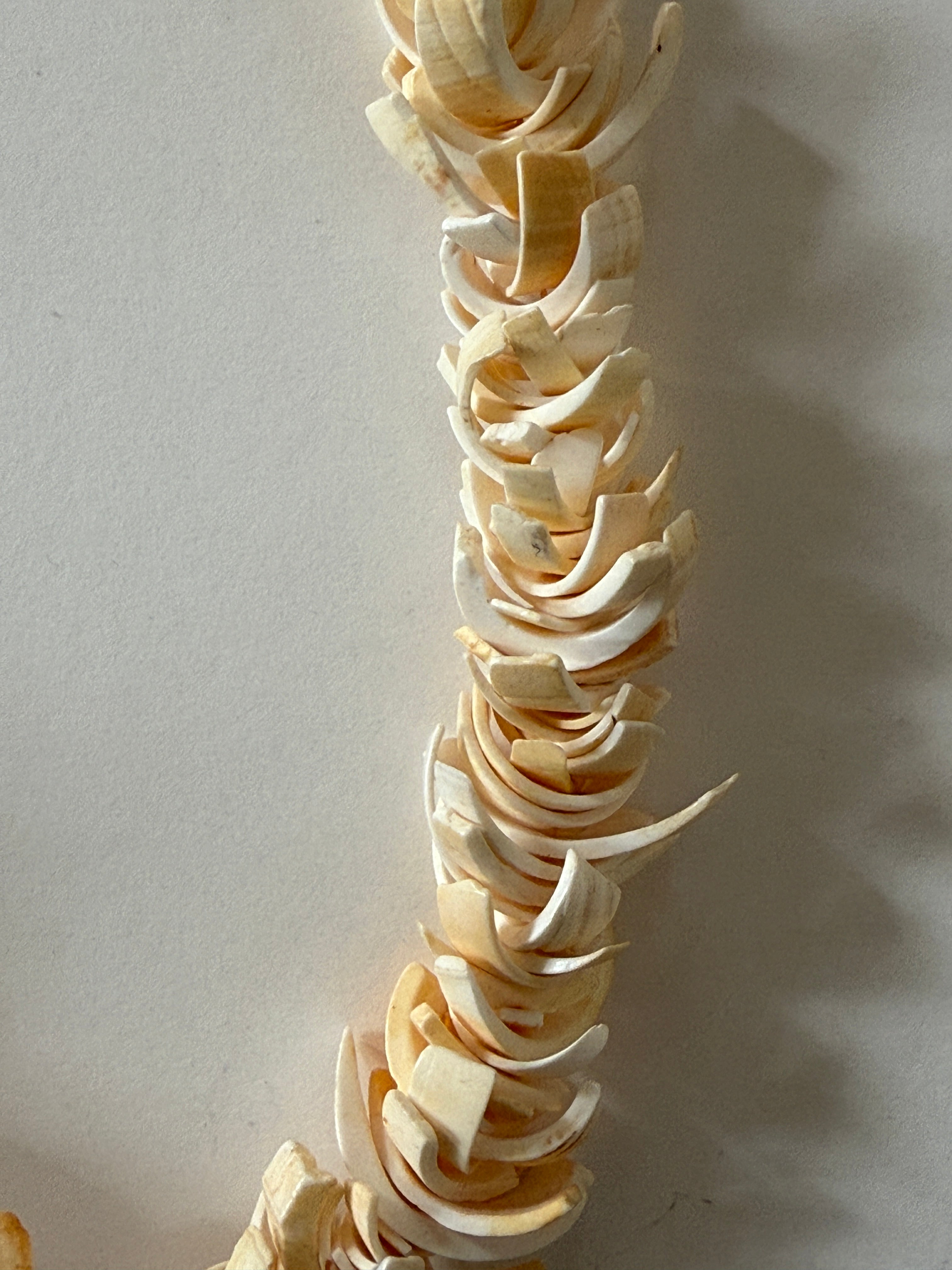 Vintage shell chip necklace close-up detail