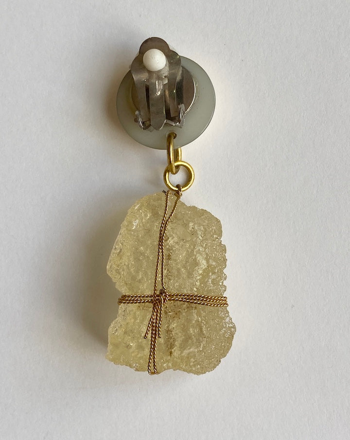 Vintage Yellow Petal-Embedded Earrings