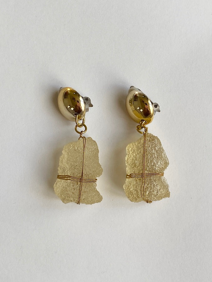 Vintage Yellow Petal-Embedded Earrings