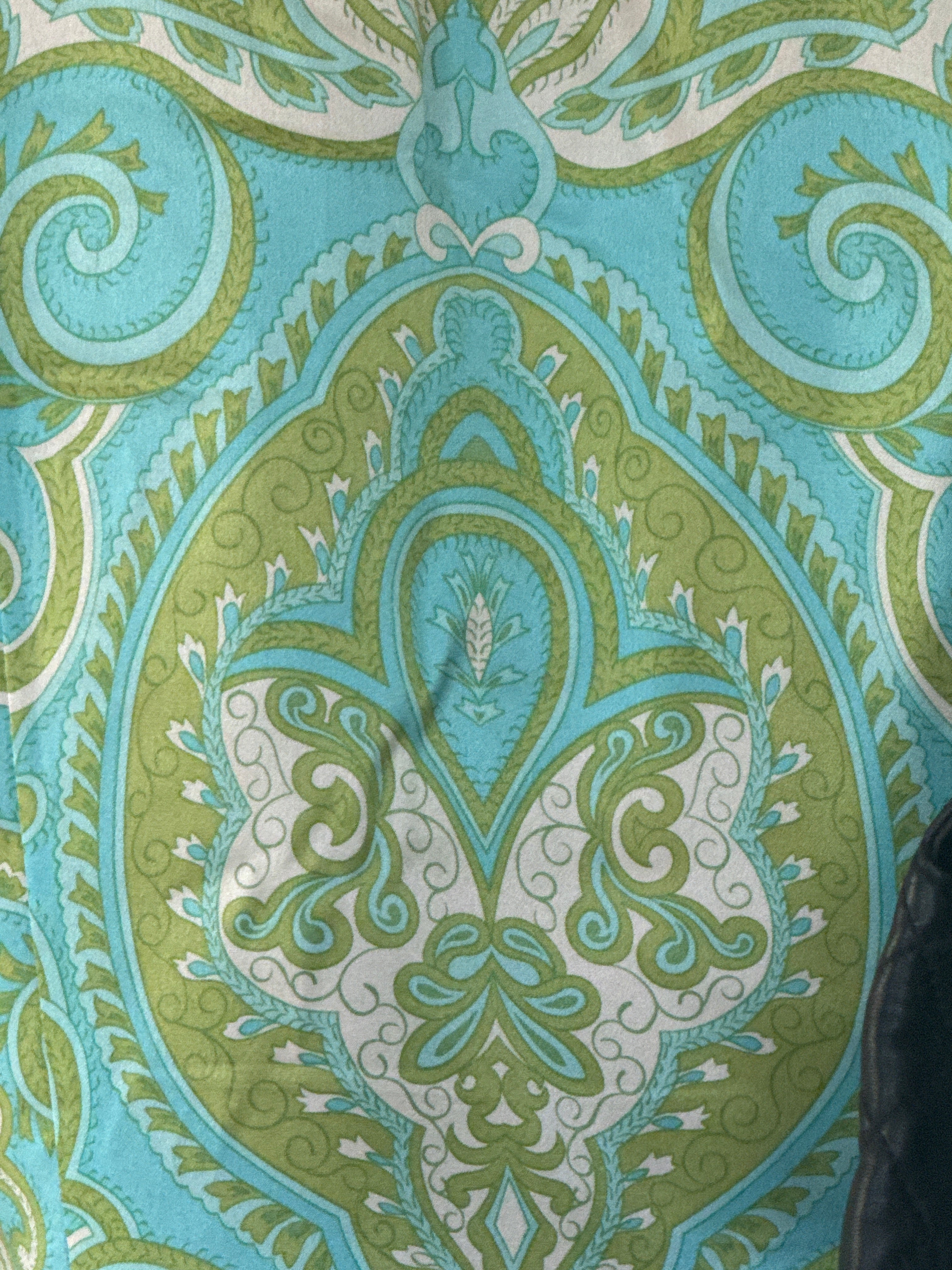 Vintage ornate aqua and green paisley print detail