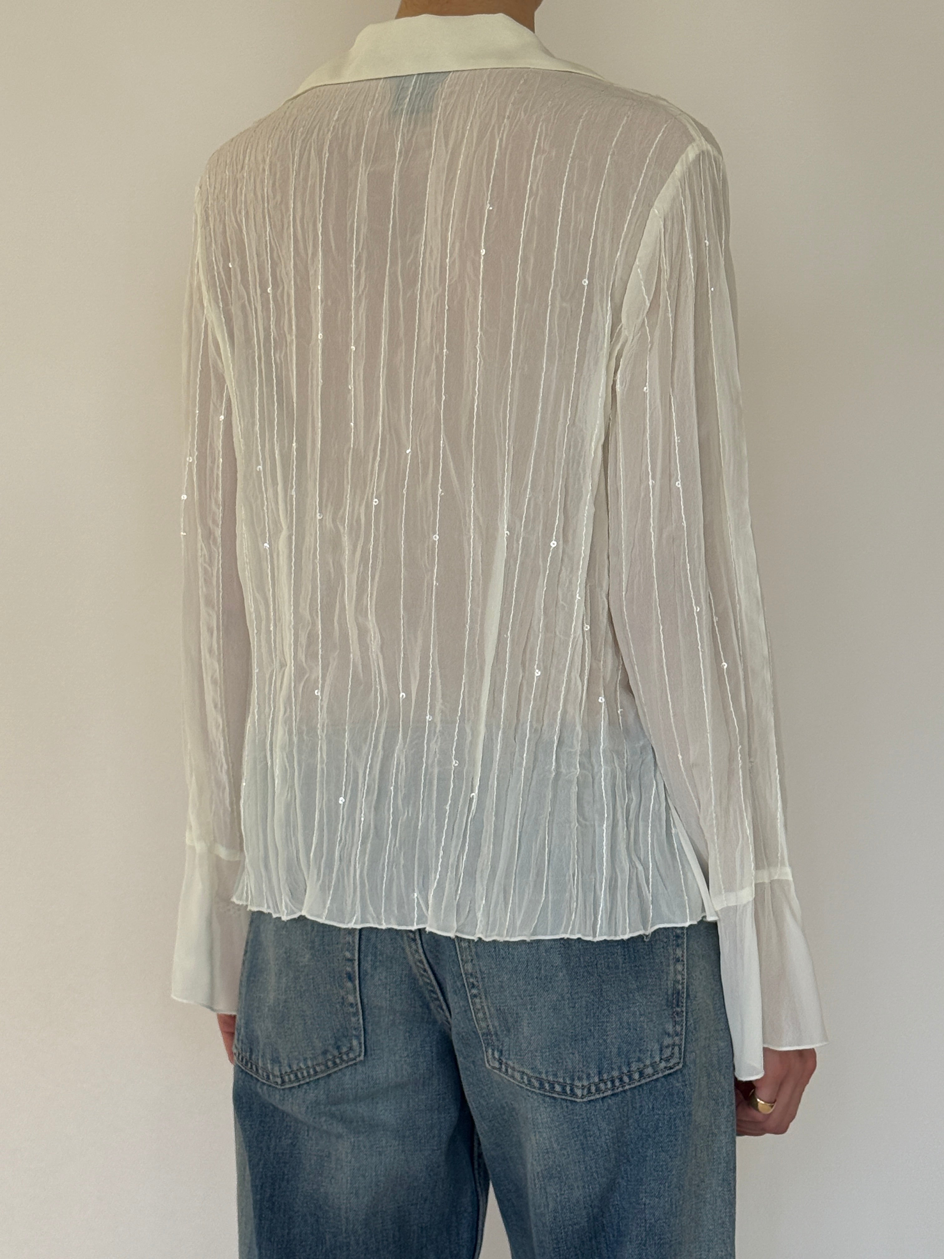 Vintage sheer blouse back detail